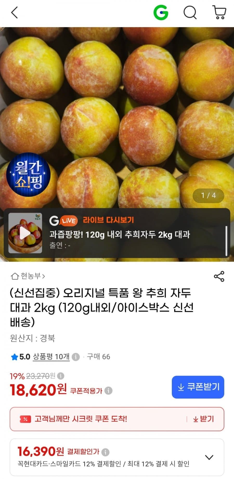 추희 자두 대과 2kg