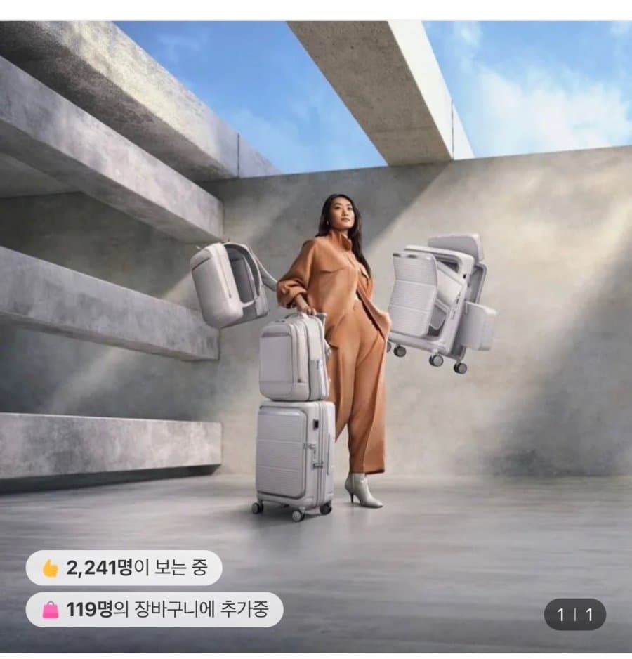 쌤소나이트 APINEX 20인치