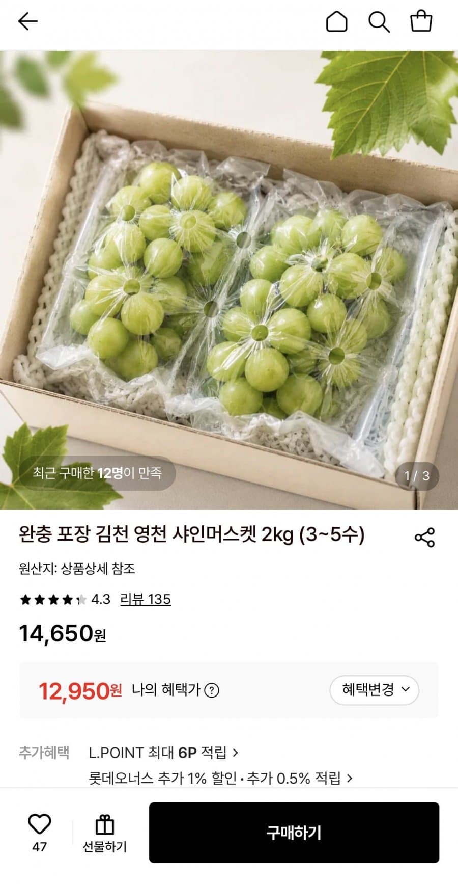 샤인머스켓 2kg