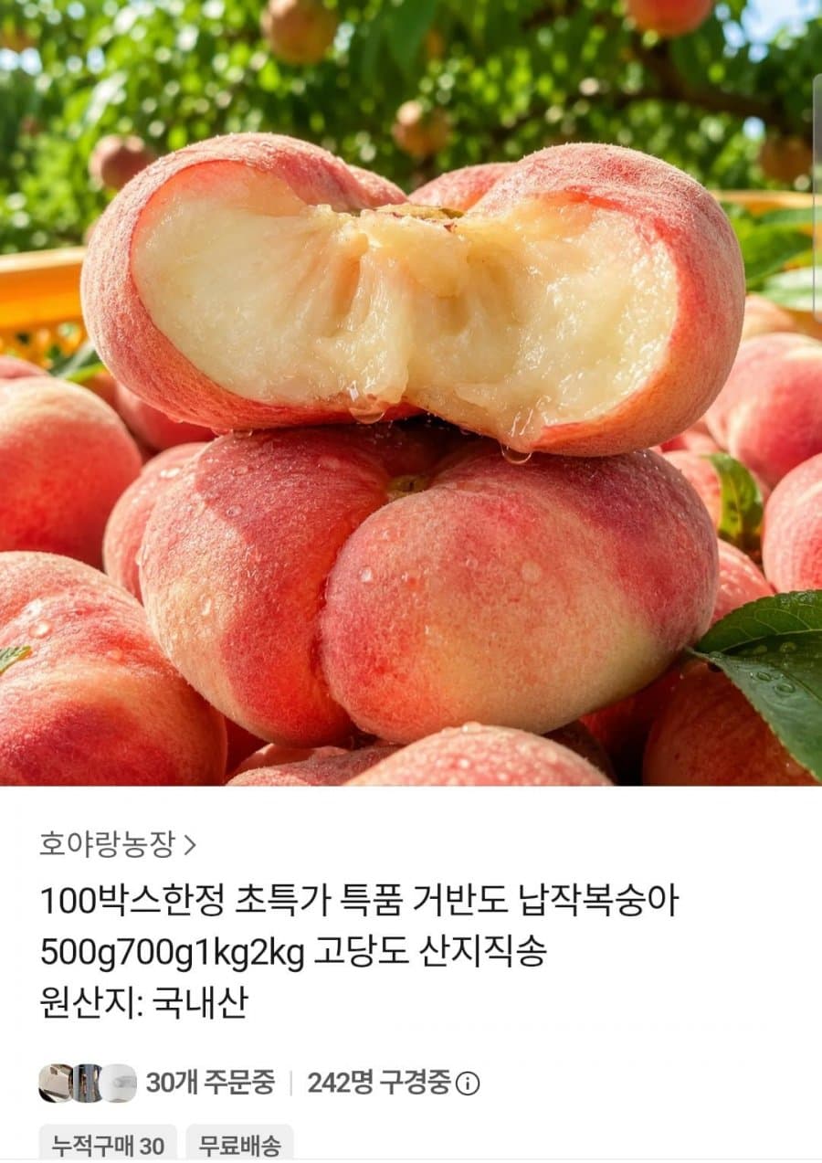 거반도 납작 복숭아