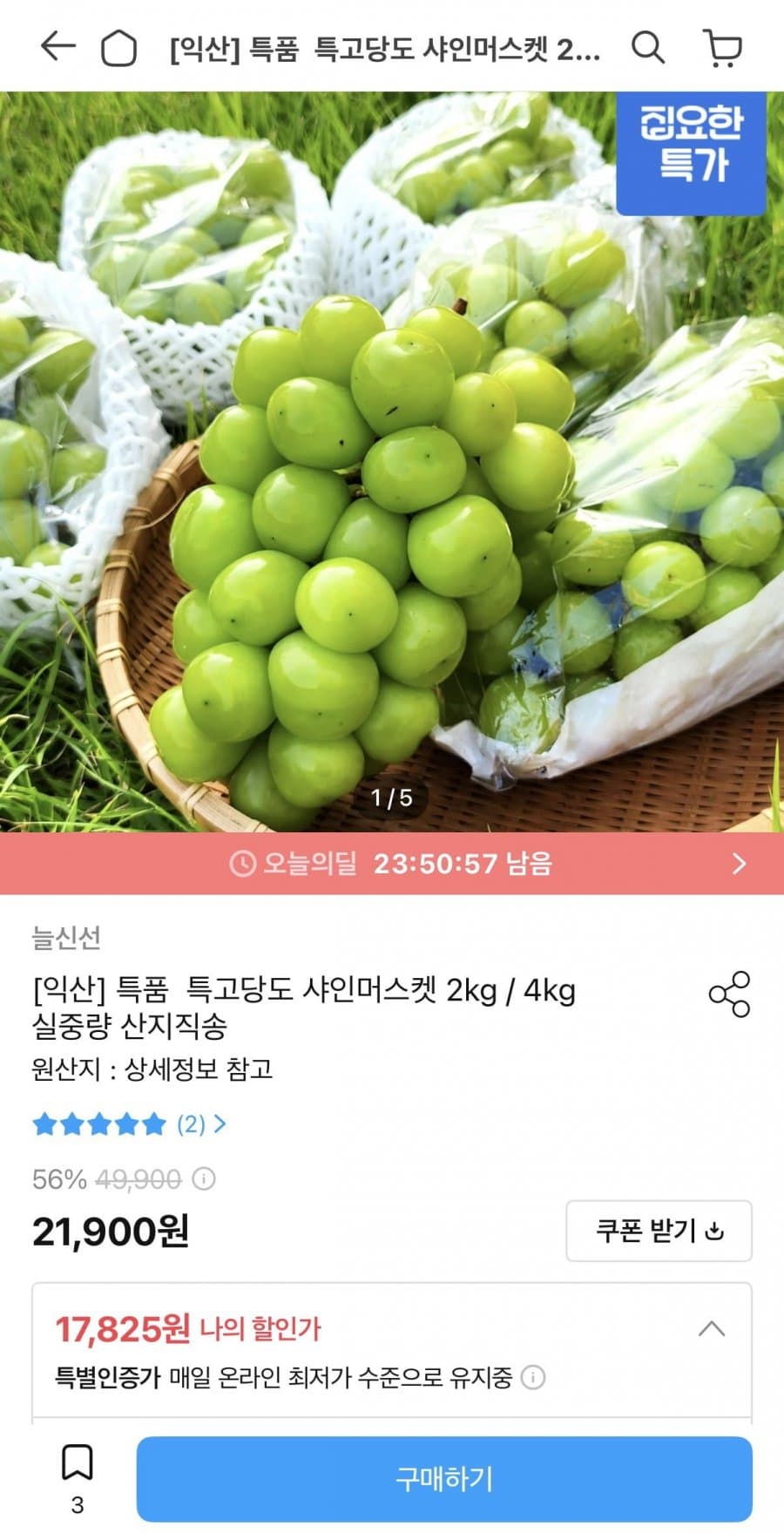 농협 샤인머스캣 2kg