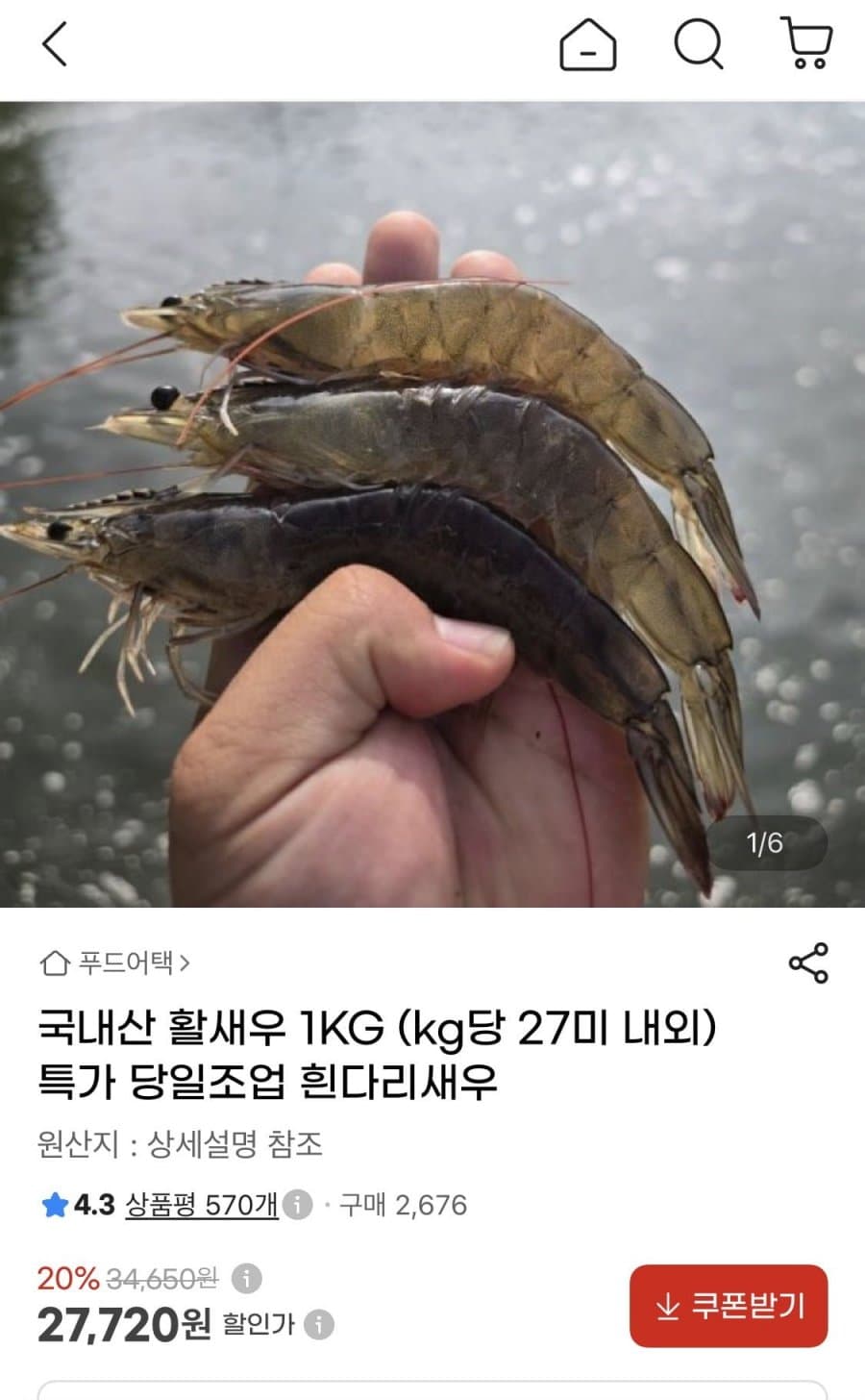 국내산 활새우 1KG