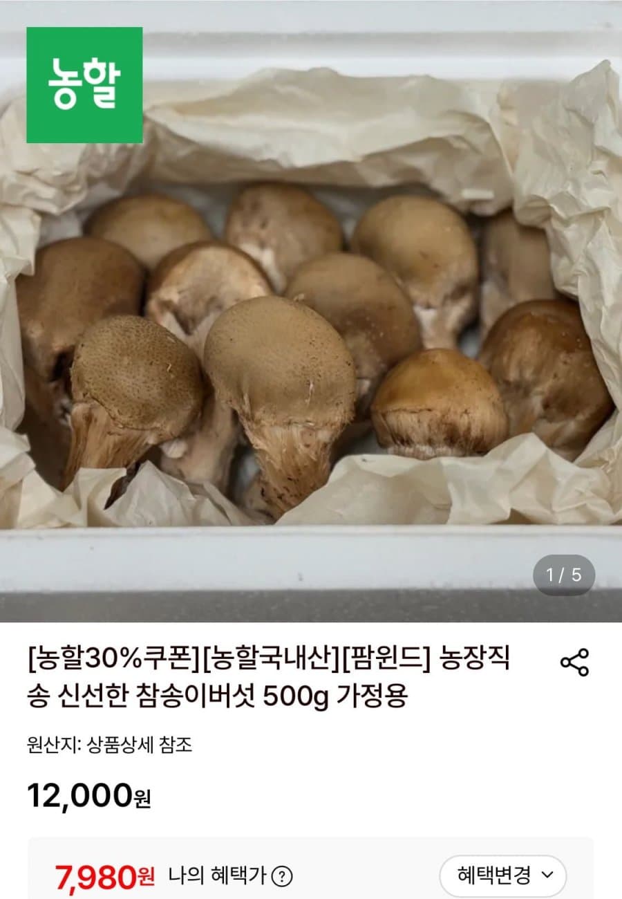 참송이버섯 500g