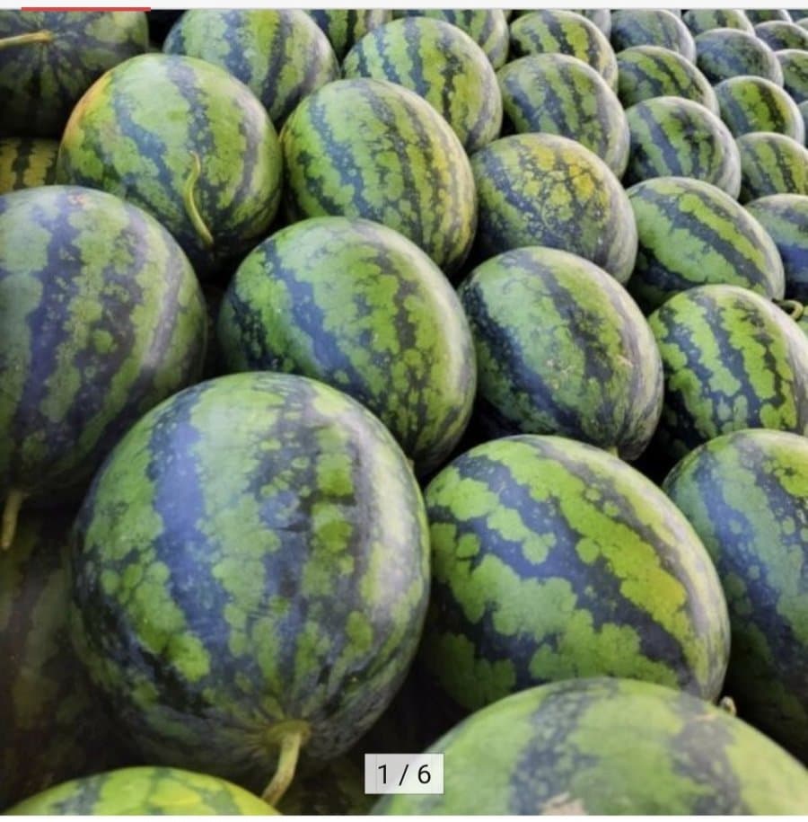 Watermelon approx. 4 kg