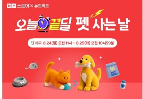 티덴 브러쉬 강아지 껌