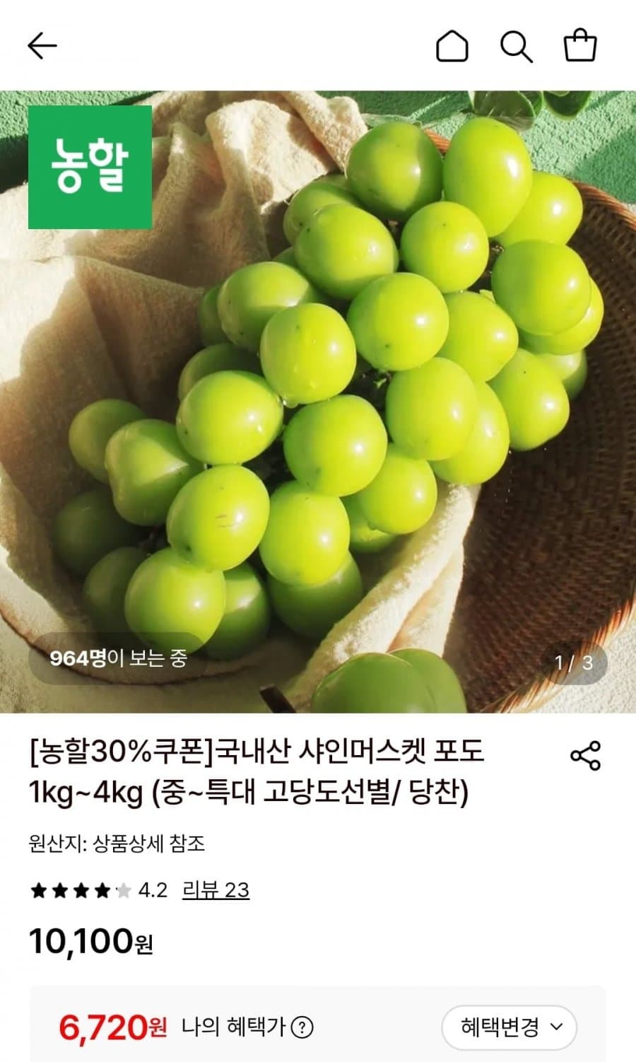 샤인머스켓 1kg 2송이