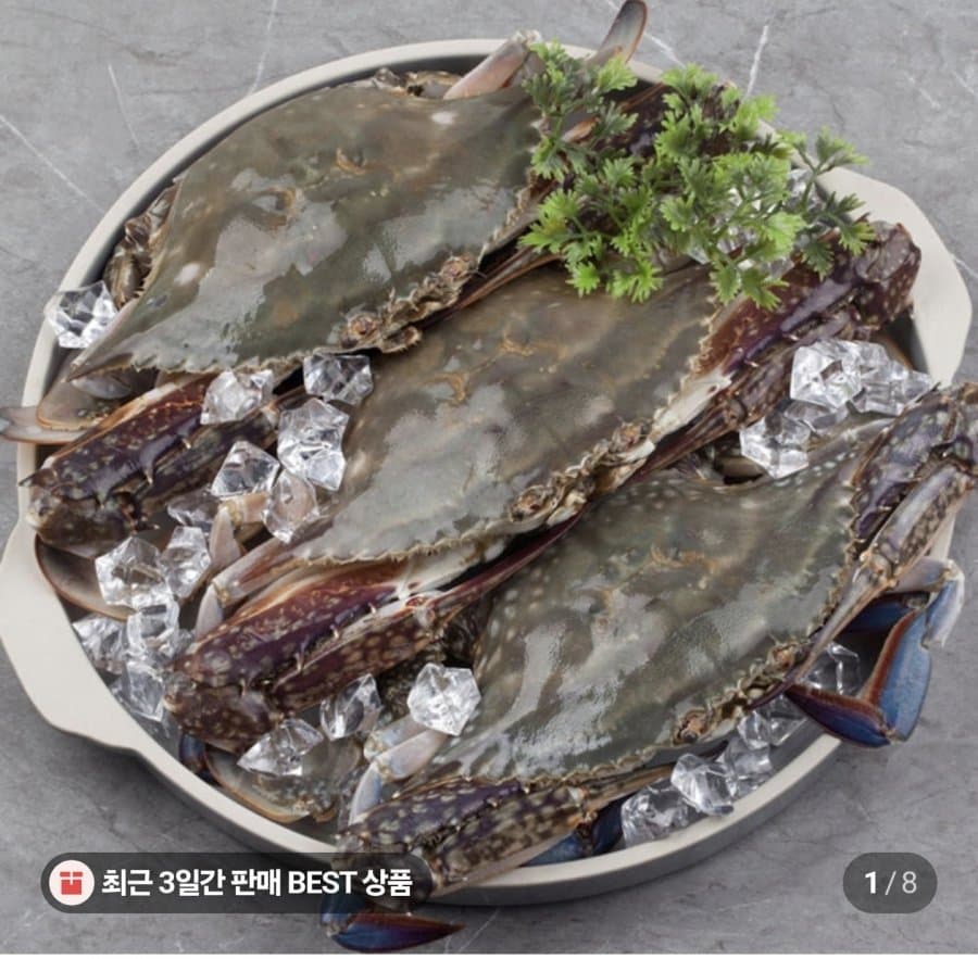 서해안 활 꽃게 1kg