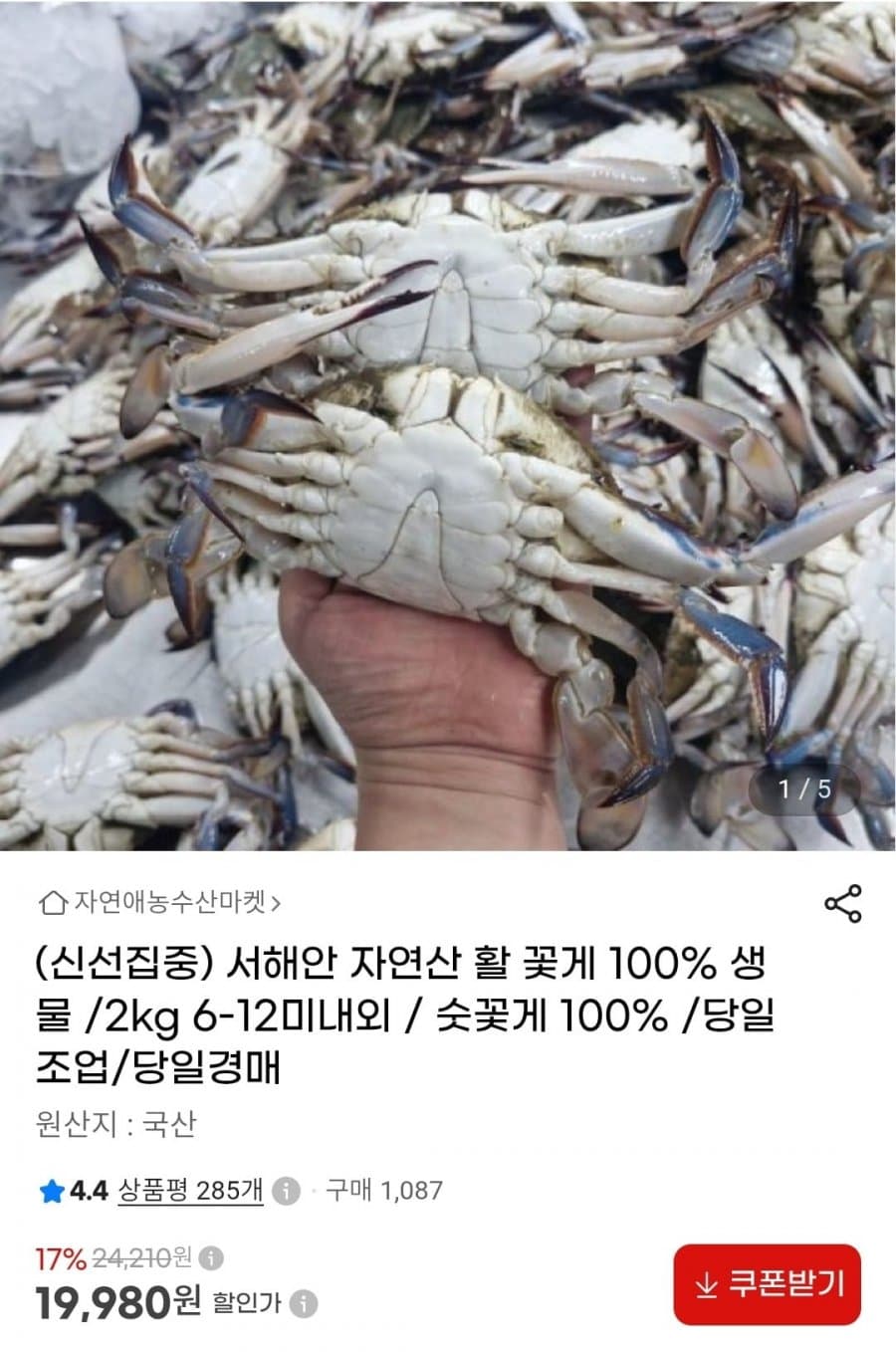 서해안 자연산 활 꽃게 2kg