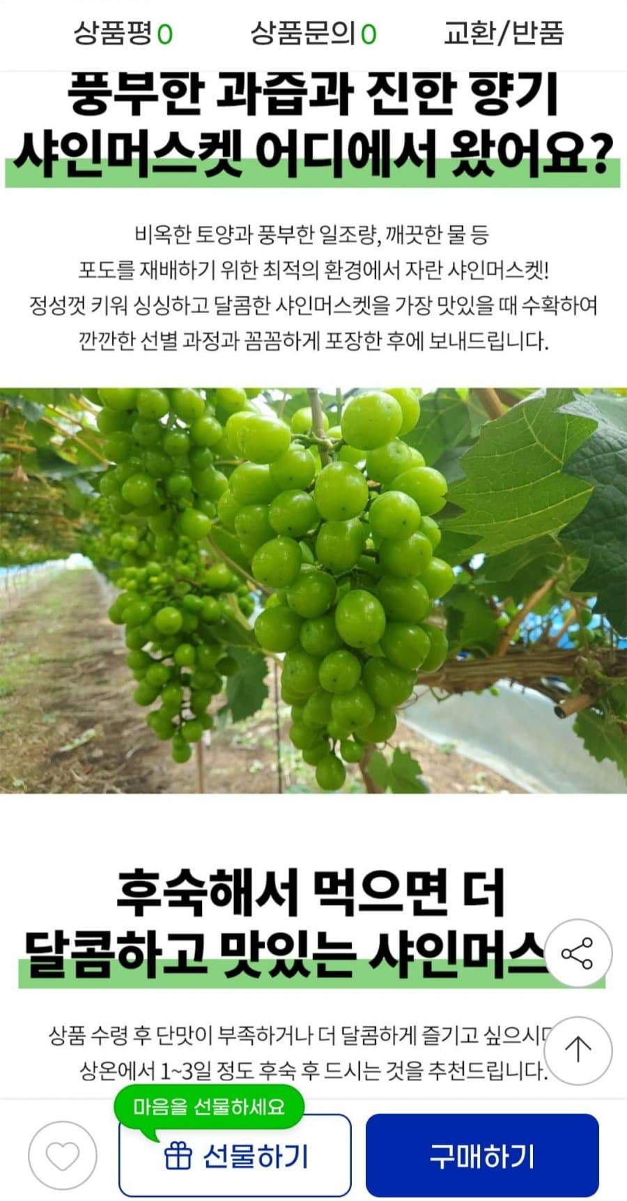 샤인머스켓 2kg