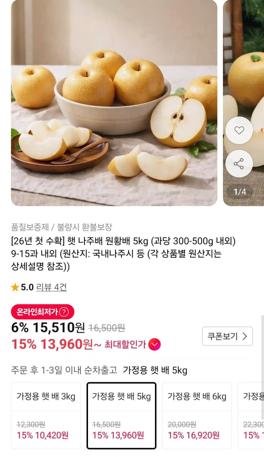 원황배 5kg