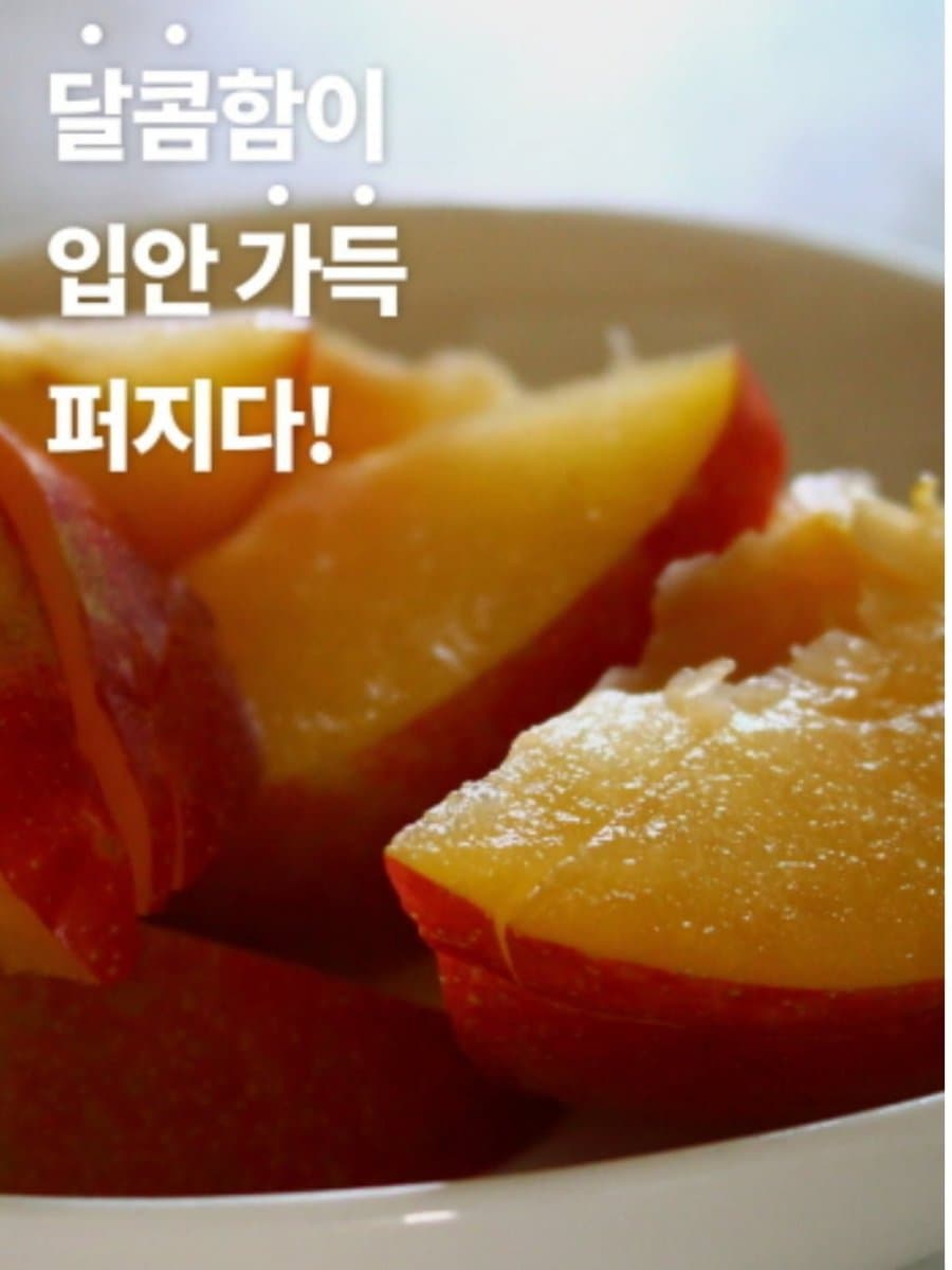 추희자두 3kg 왕특