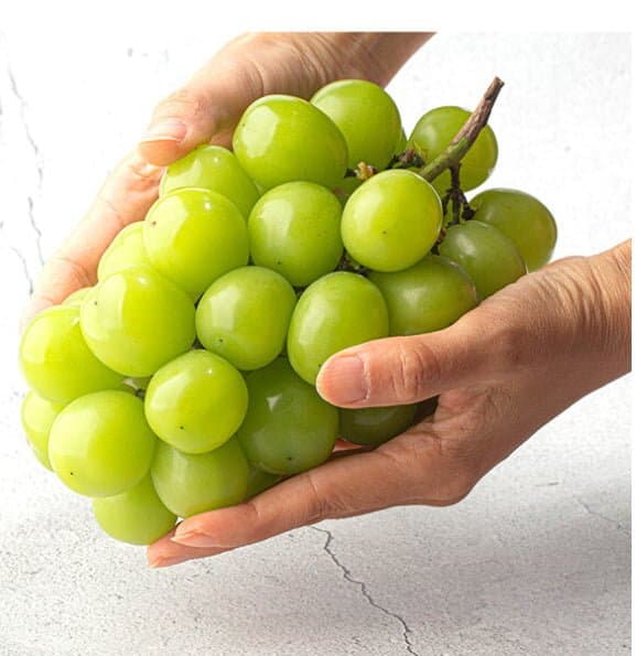 샤인머스캣 2kg