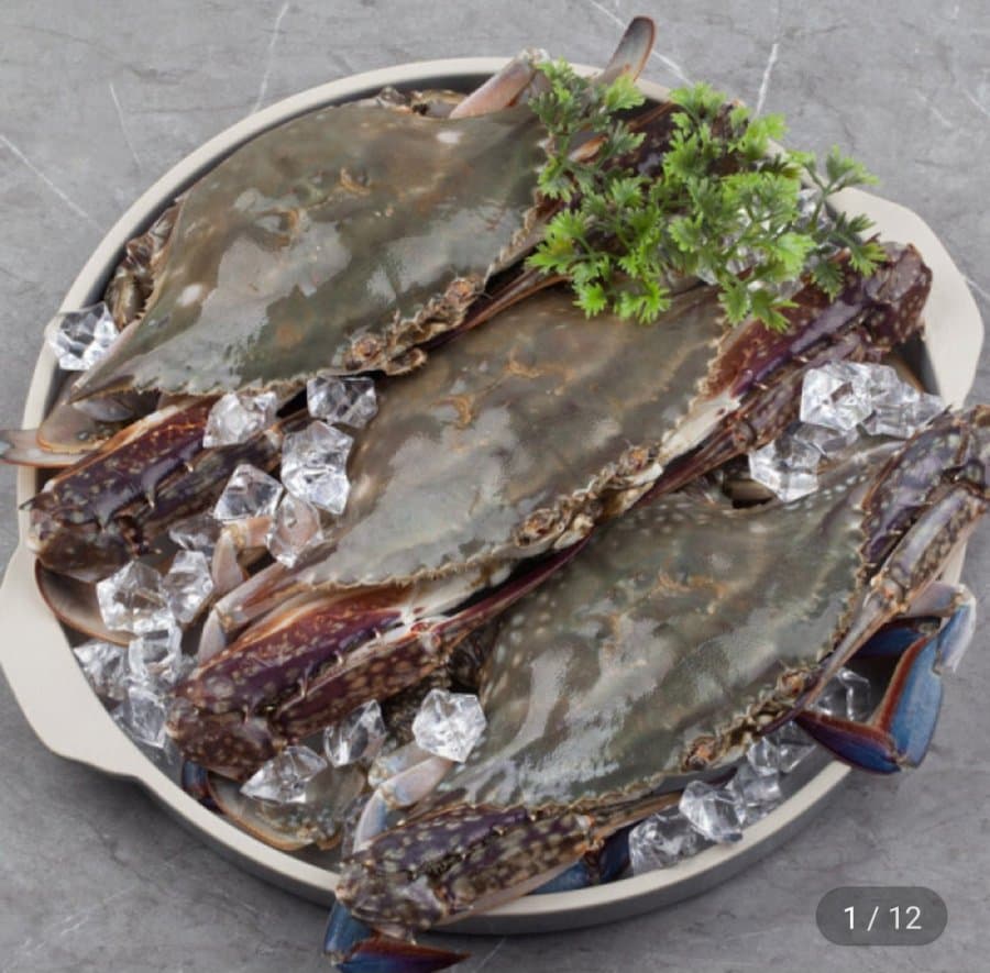 태안생물 활 숯꽃게 2kg