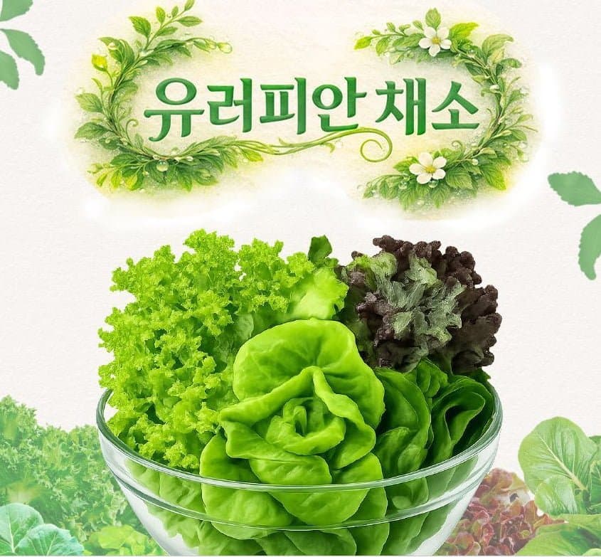 무농약 유러피안 샐러드 채소 1kg
