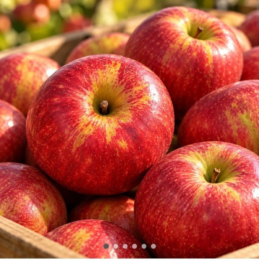 감홍사과 중대과 2kg