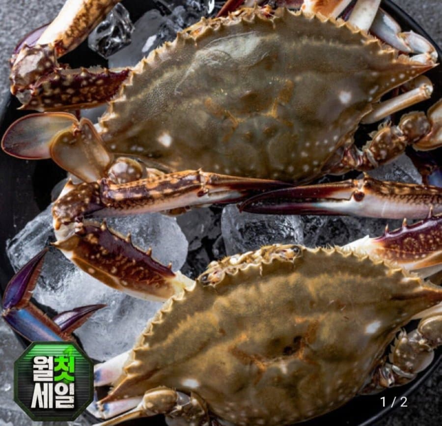 G마켓 수꽃게 2kg