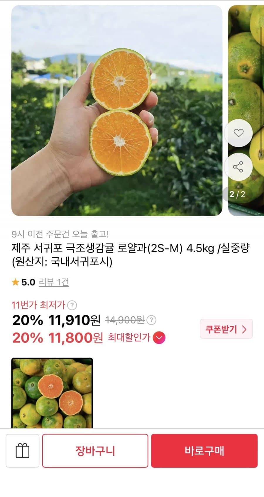 제주 서귀포 극조생감귤 로얄과 4.5kg