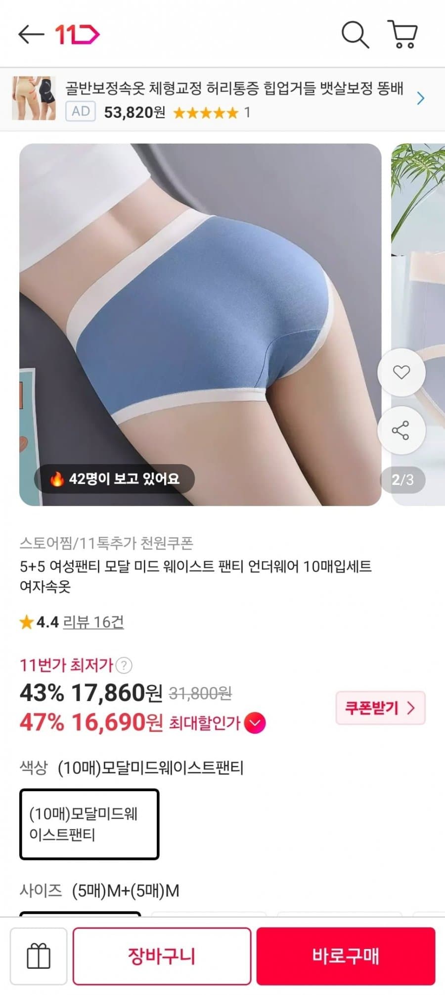 여성용 모달팬티 10장세트