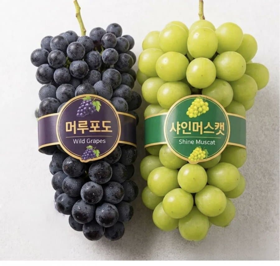 머루포도 3kg 4-6수