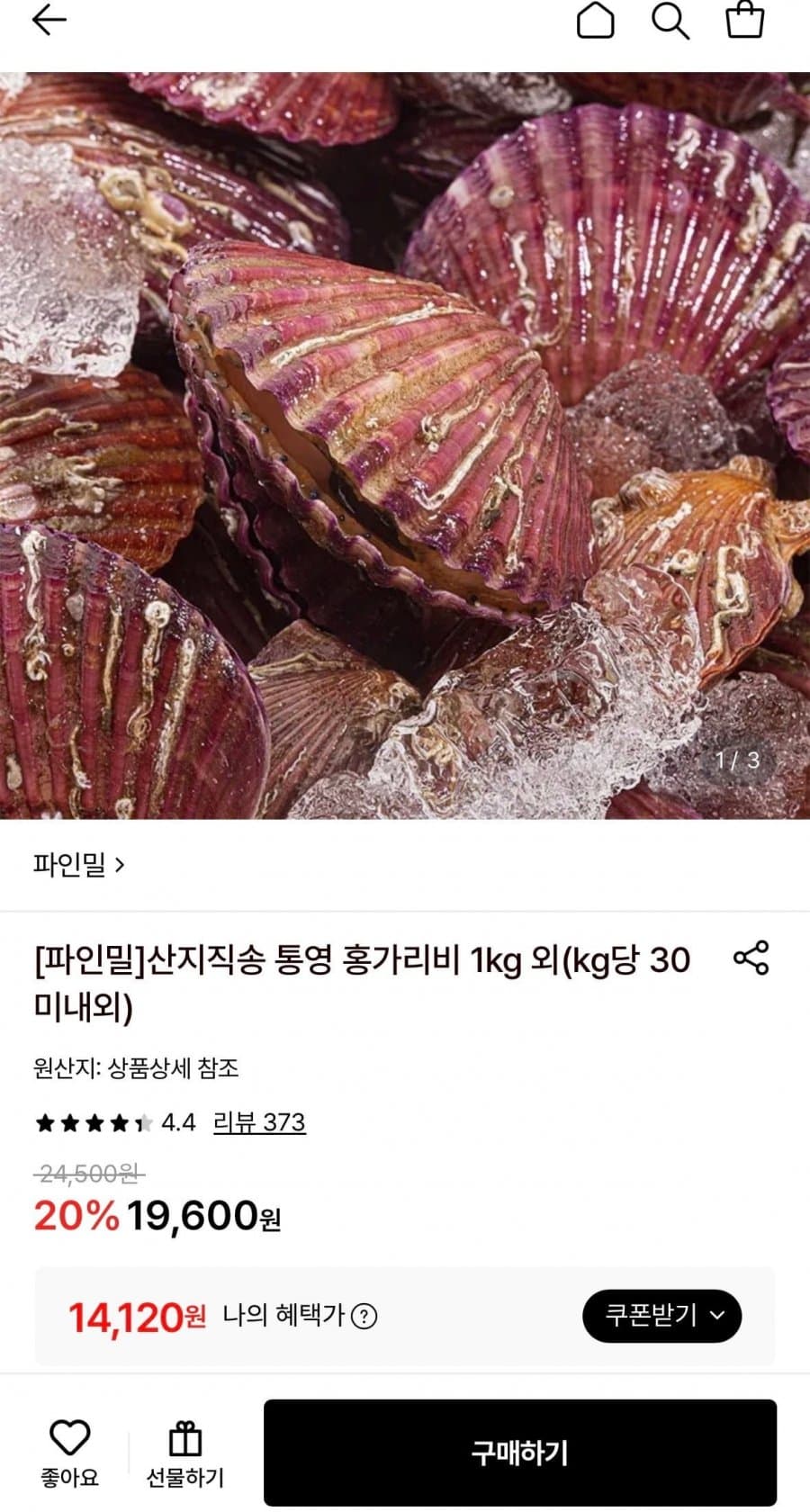 통영 홍가리비 4kg