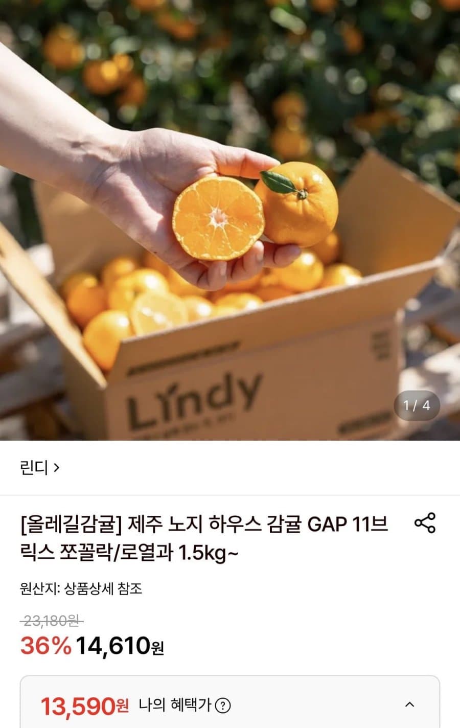 올레길 하우스감귤 2kg