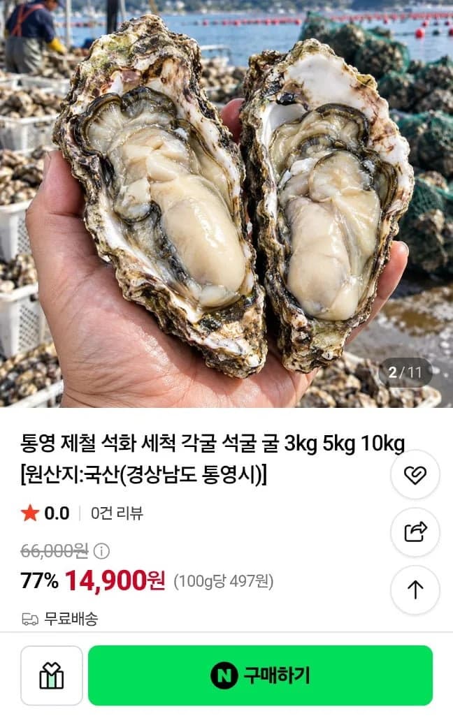 Tongyeong Seasonal Cleaned Oysters