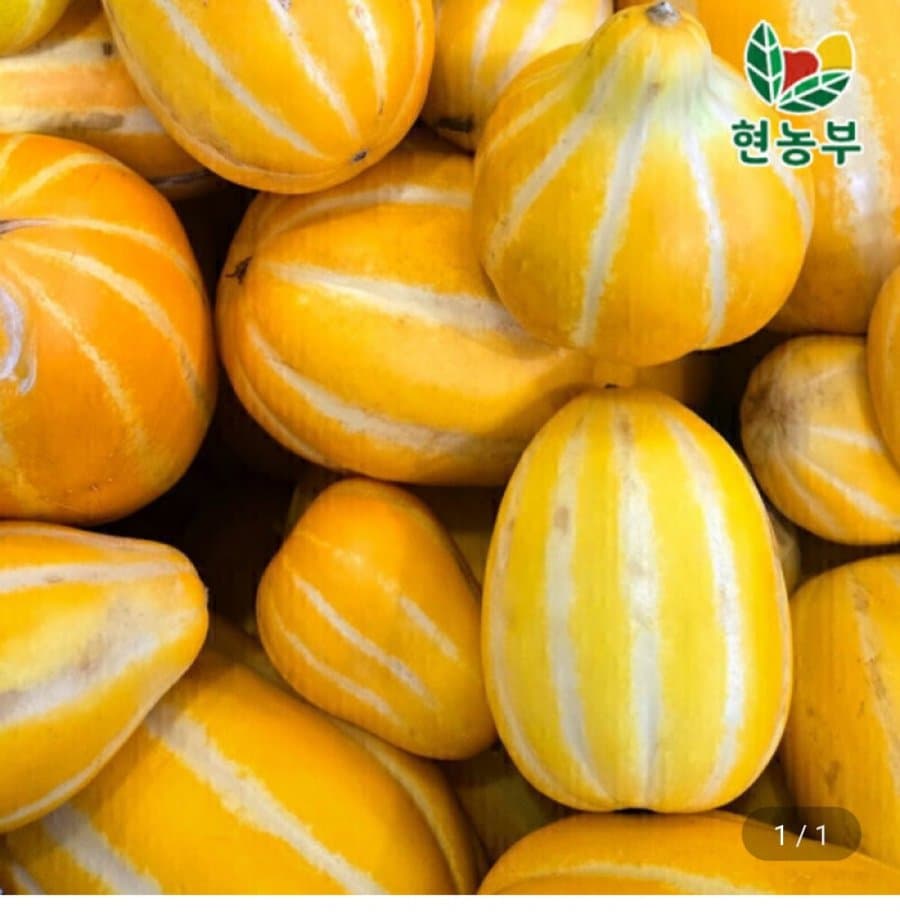 성주참외 가정용 9kg