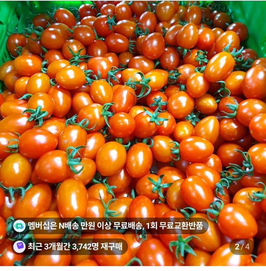 대추방울토마토 로얄과 1kg