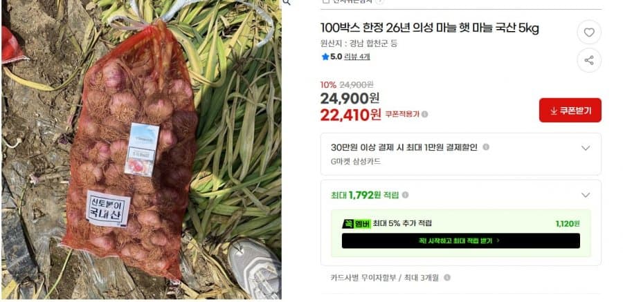 국내산 햇마늘 5kg
