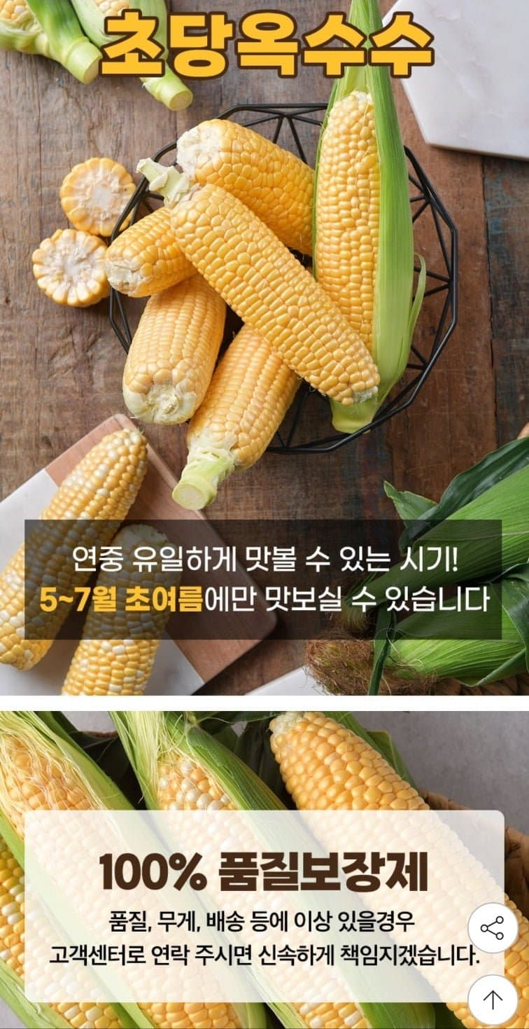 초당옥수수 10개입