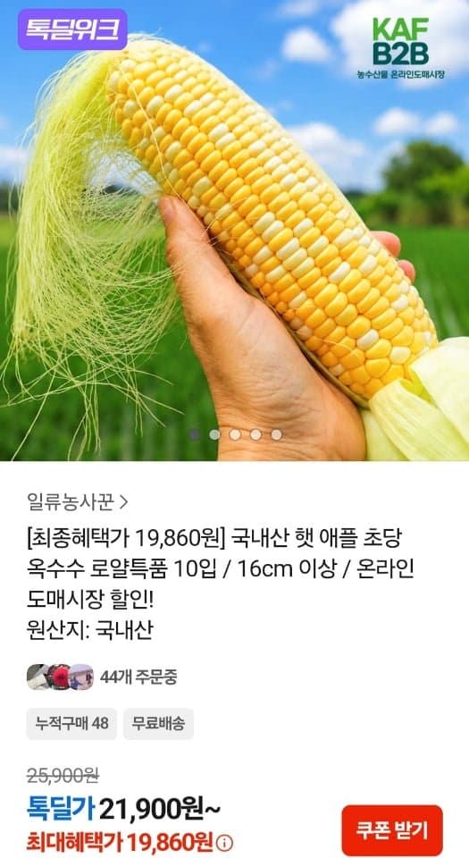 국내산 햇 애플 초당 옥수수 특품 10입