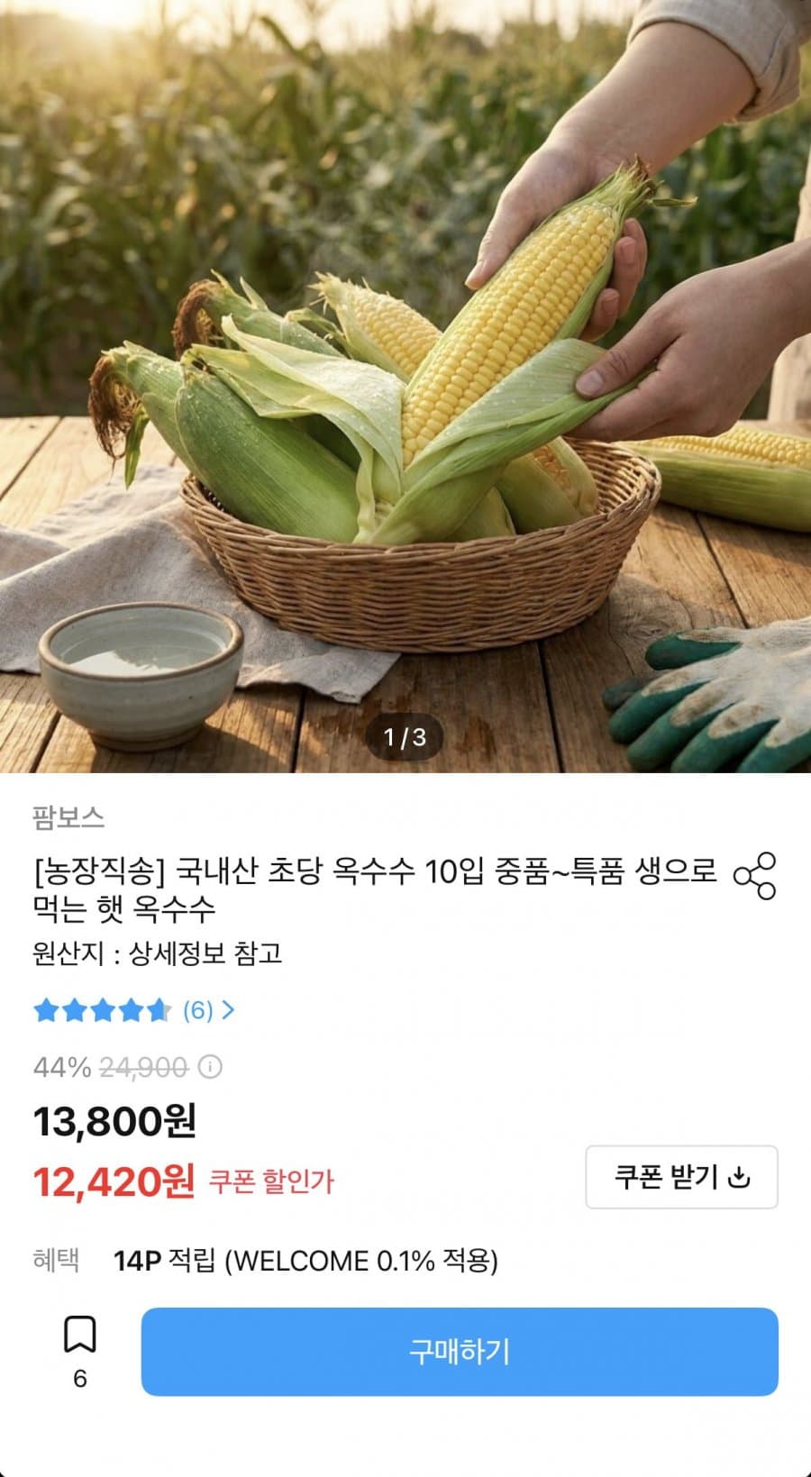 국내산 초당 옥수수 10입