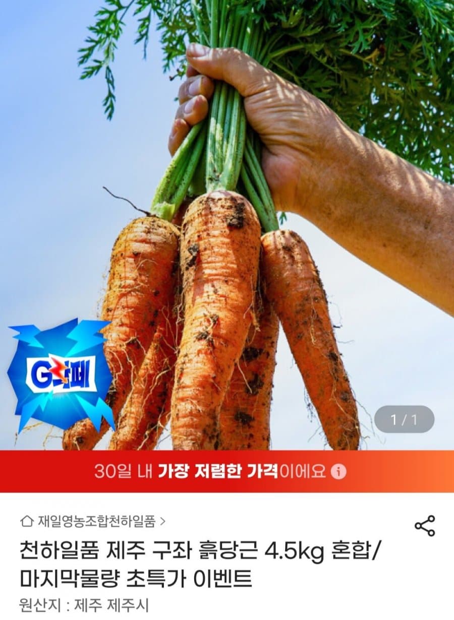 천하일품 제주 구좌 흙당근 4.5kg 혼합