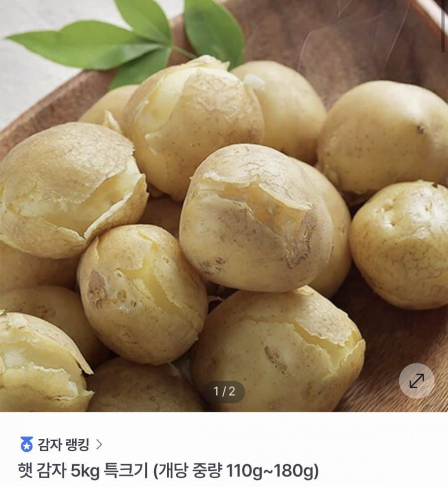 노지 햇감자 특크기 5kg