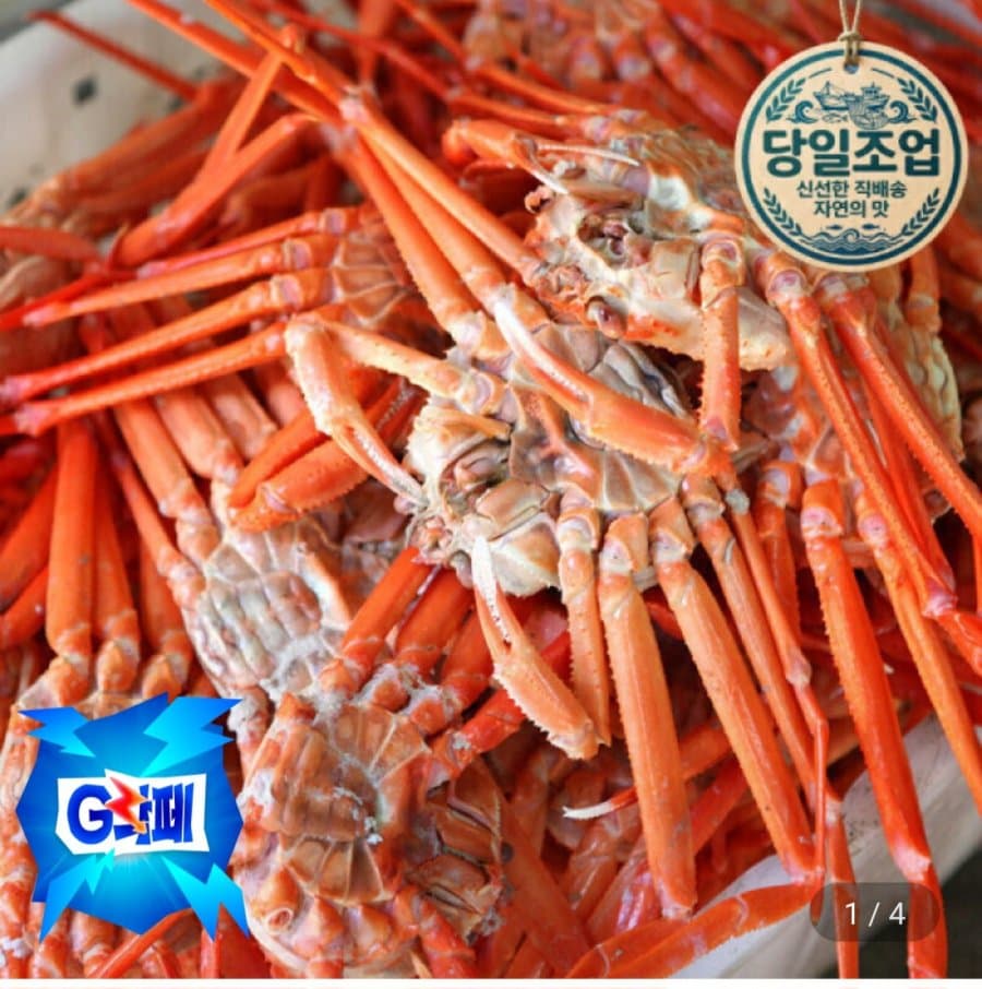 자숙홍게 6kg