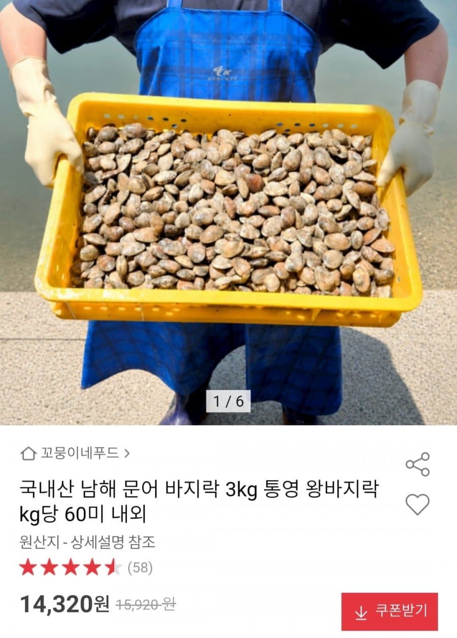 남해 바지락 3kg
