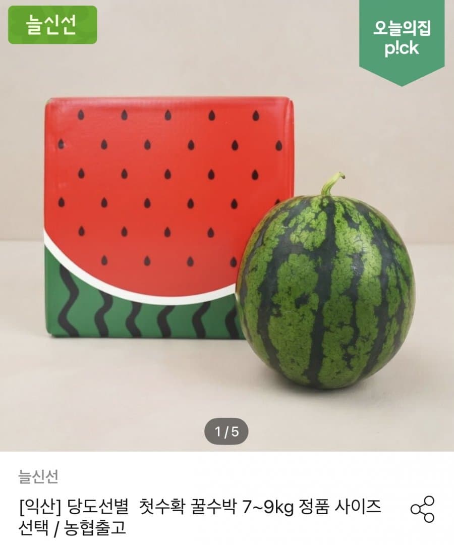 늘신선 고당도 수박 6kg