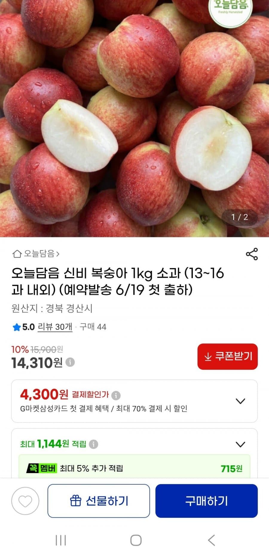 신비 복숭아 1kg