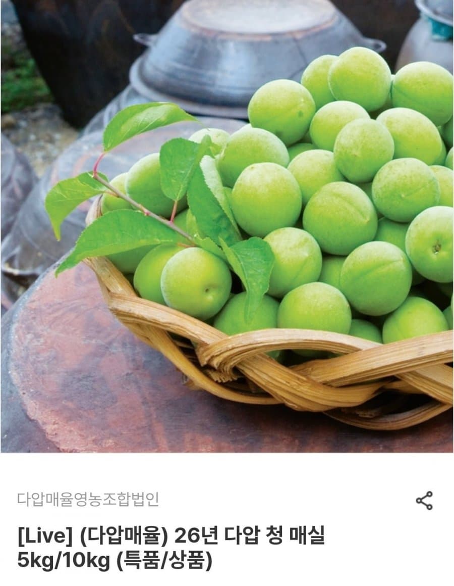 다압 청매실 5kg