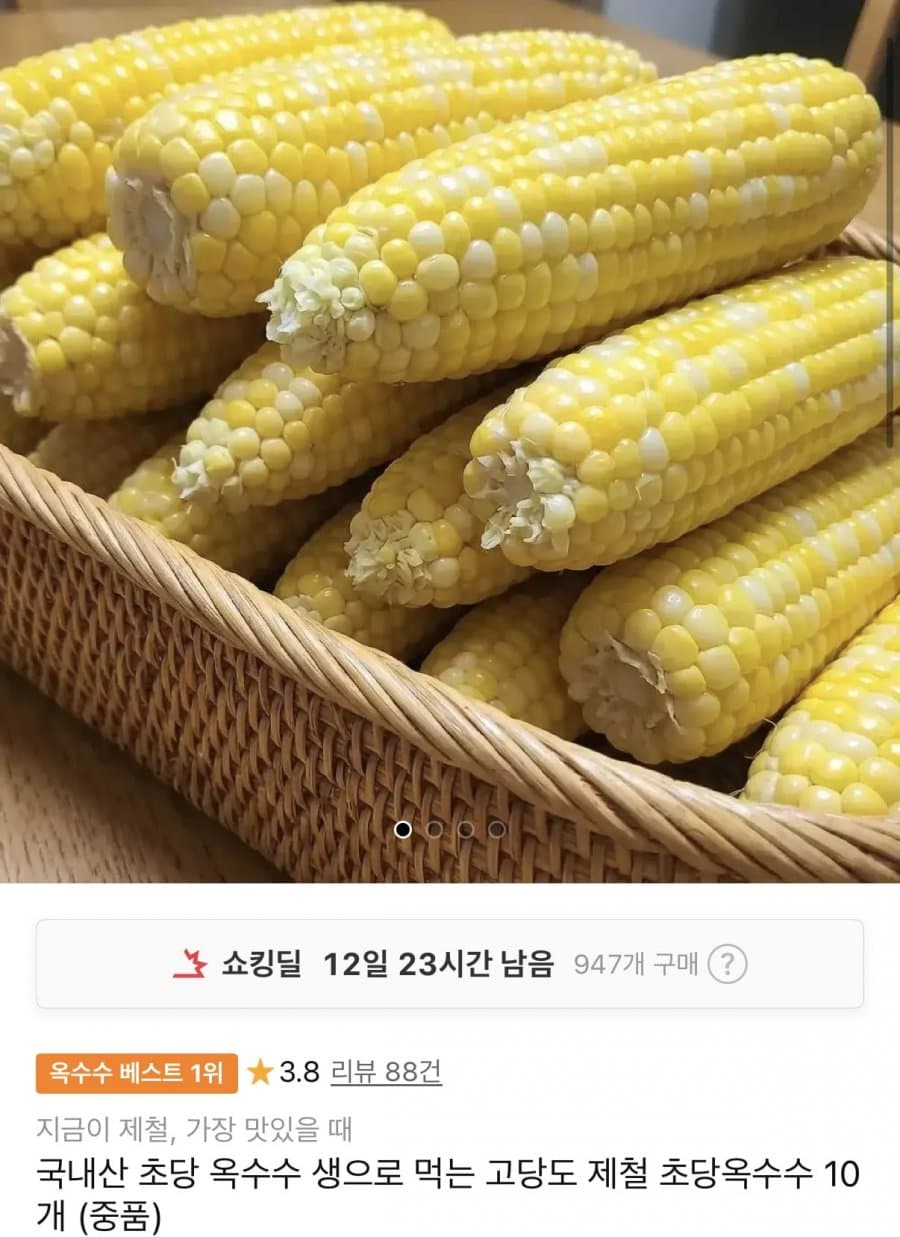 초당옥수수 10개