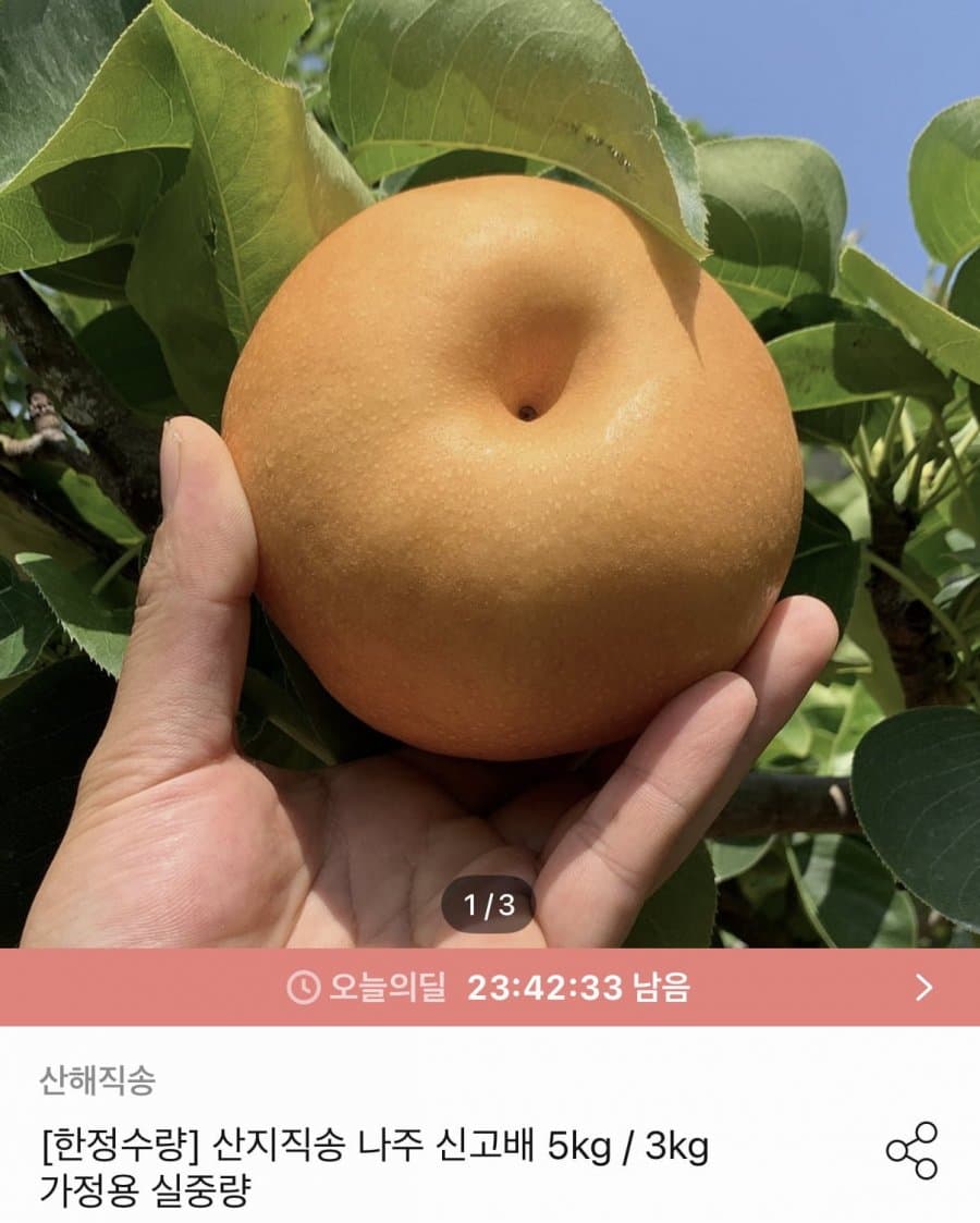 나주 신고배 3kg