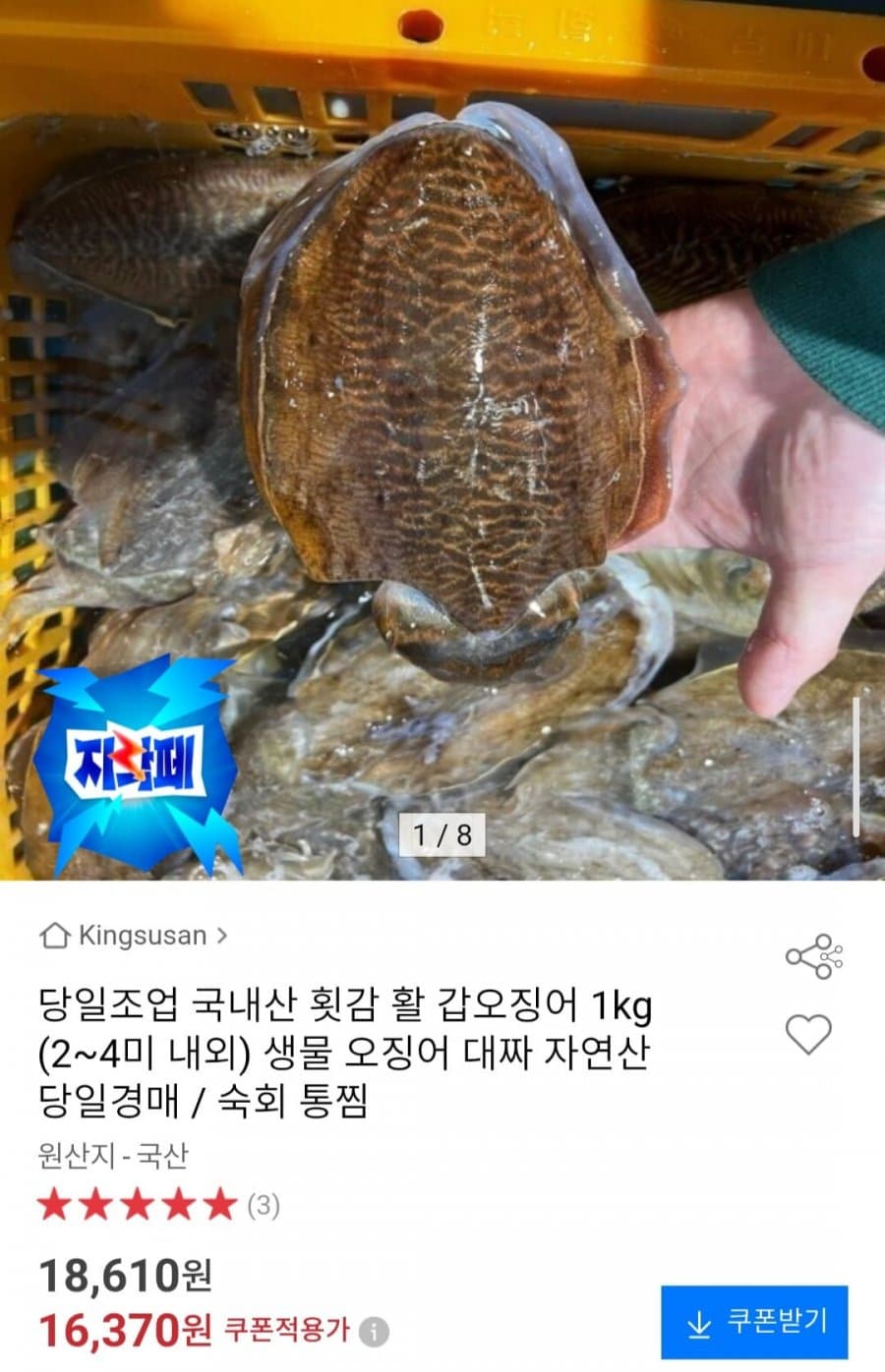 국내산 활 갑오징어 1kg
