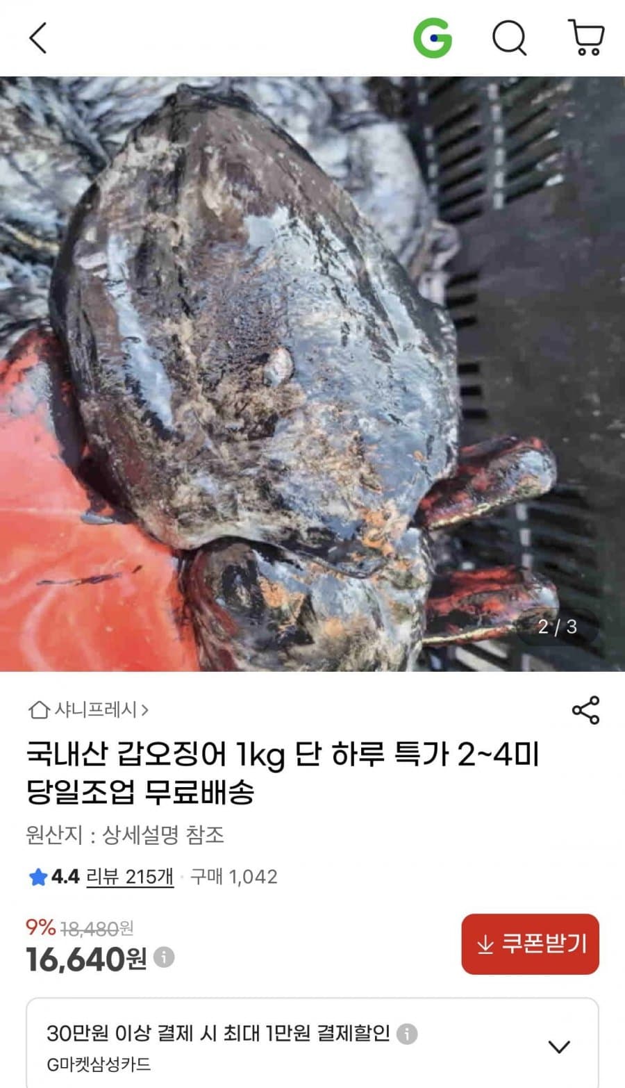 국내산 갑오징어 1kg