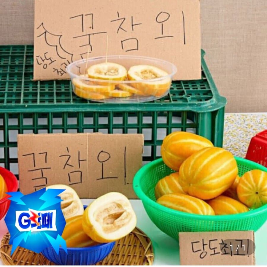 성주 꿀참외 9kg