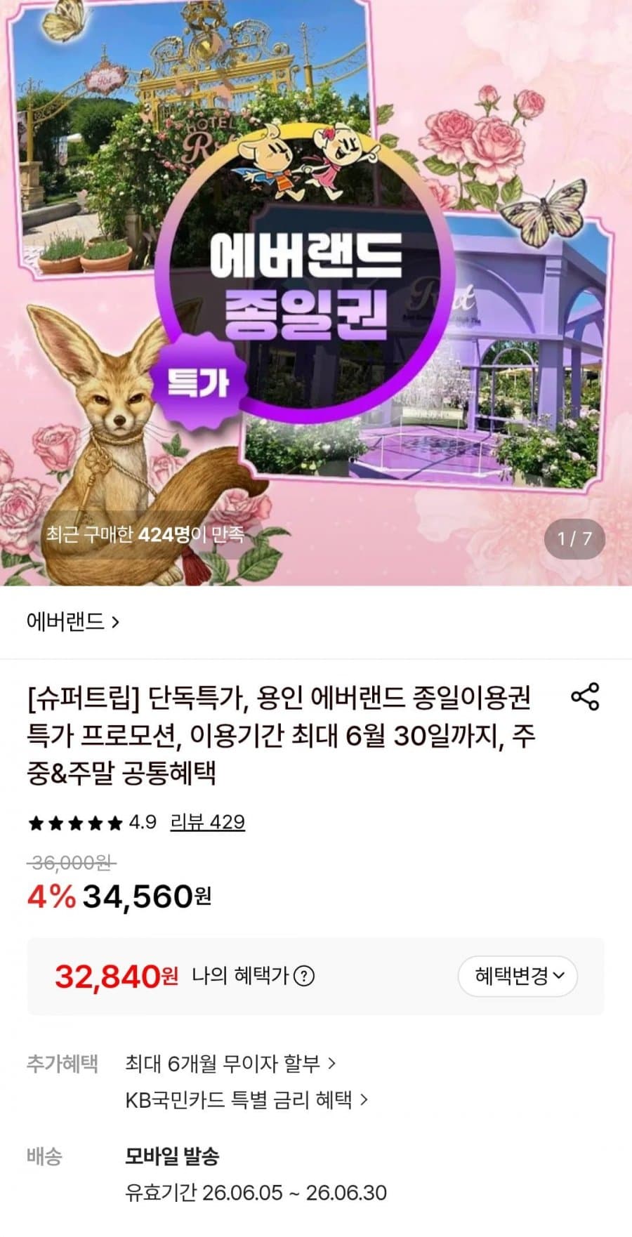 에버랜드 종일권