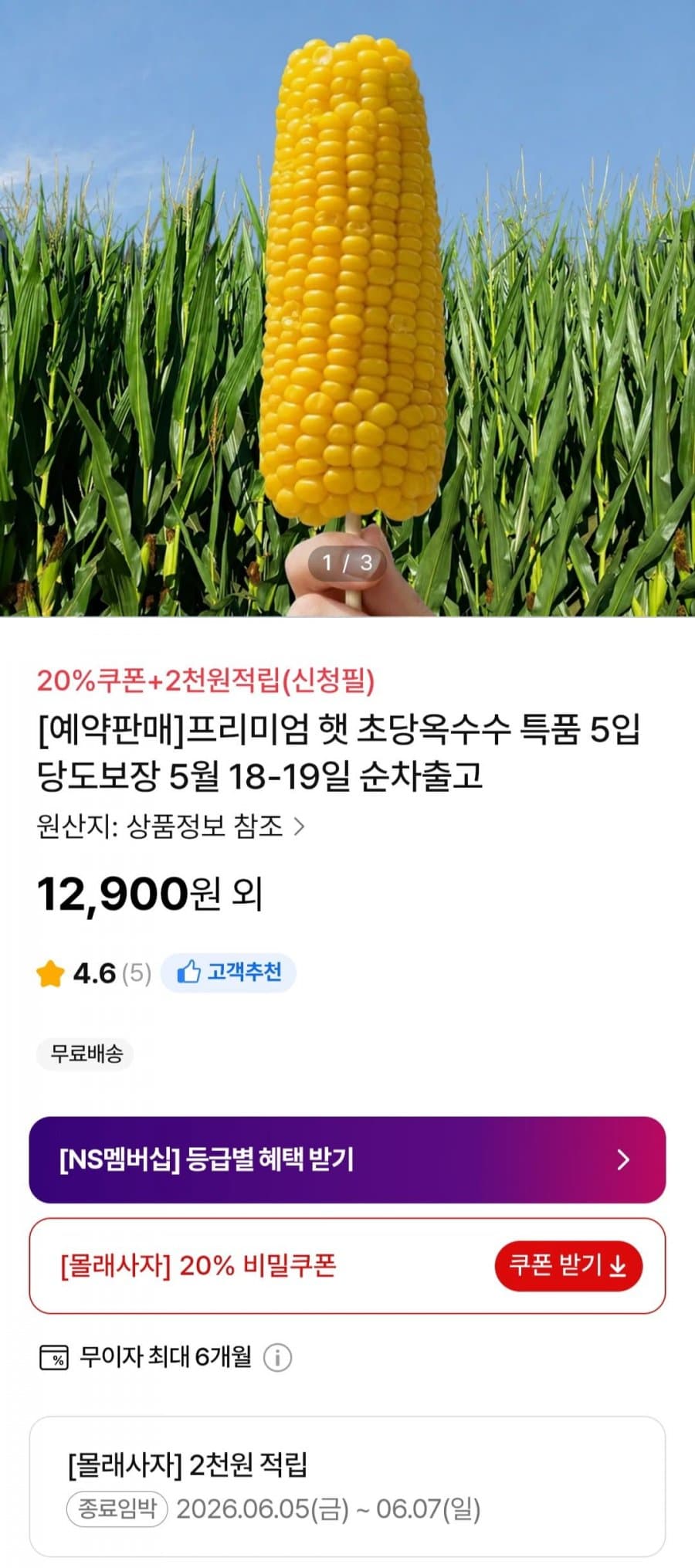 햇 초당옥수수 특품 10개입
