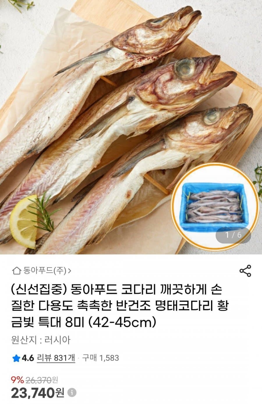 명태코다리 특대 8미