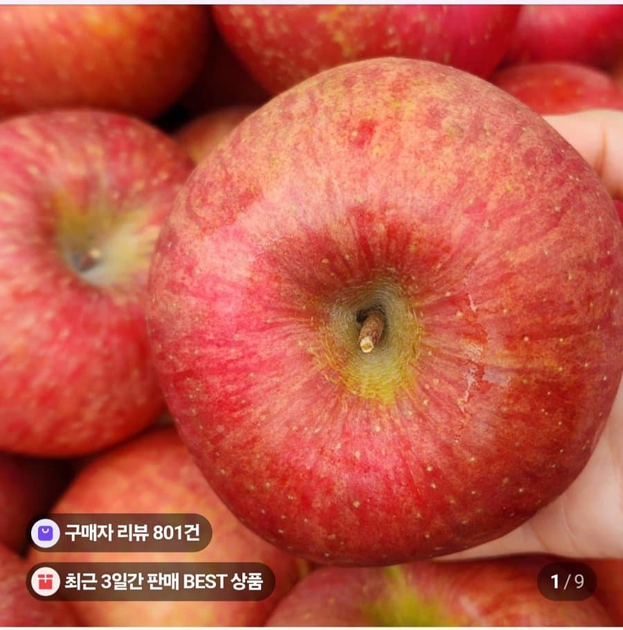 부사 사과 10kg