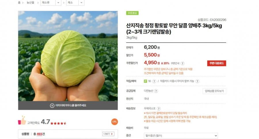 무안 달콤 양배추 3kg