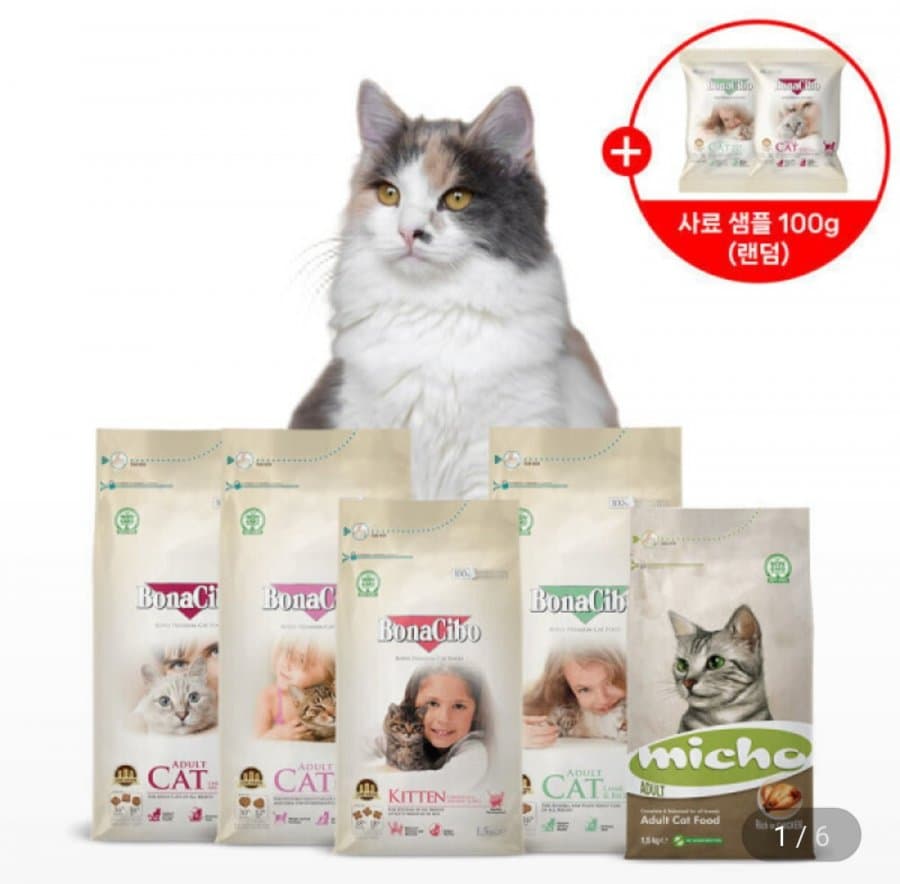 BonaCibo 유럽산 슈퍼프리미엄 사료
